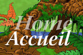Accueil