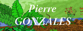 Accueil